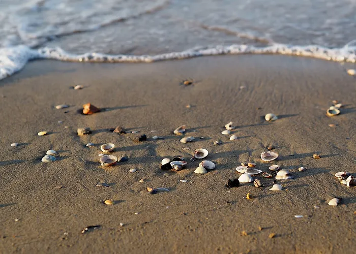 Bright Flat Overlooking The Sea-beahost *