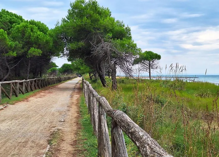 Bright Flat Overlooking The Sea-beahost بيبيوني